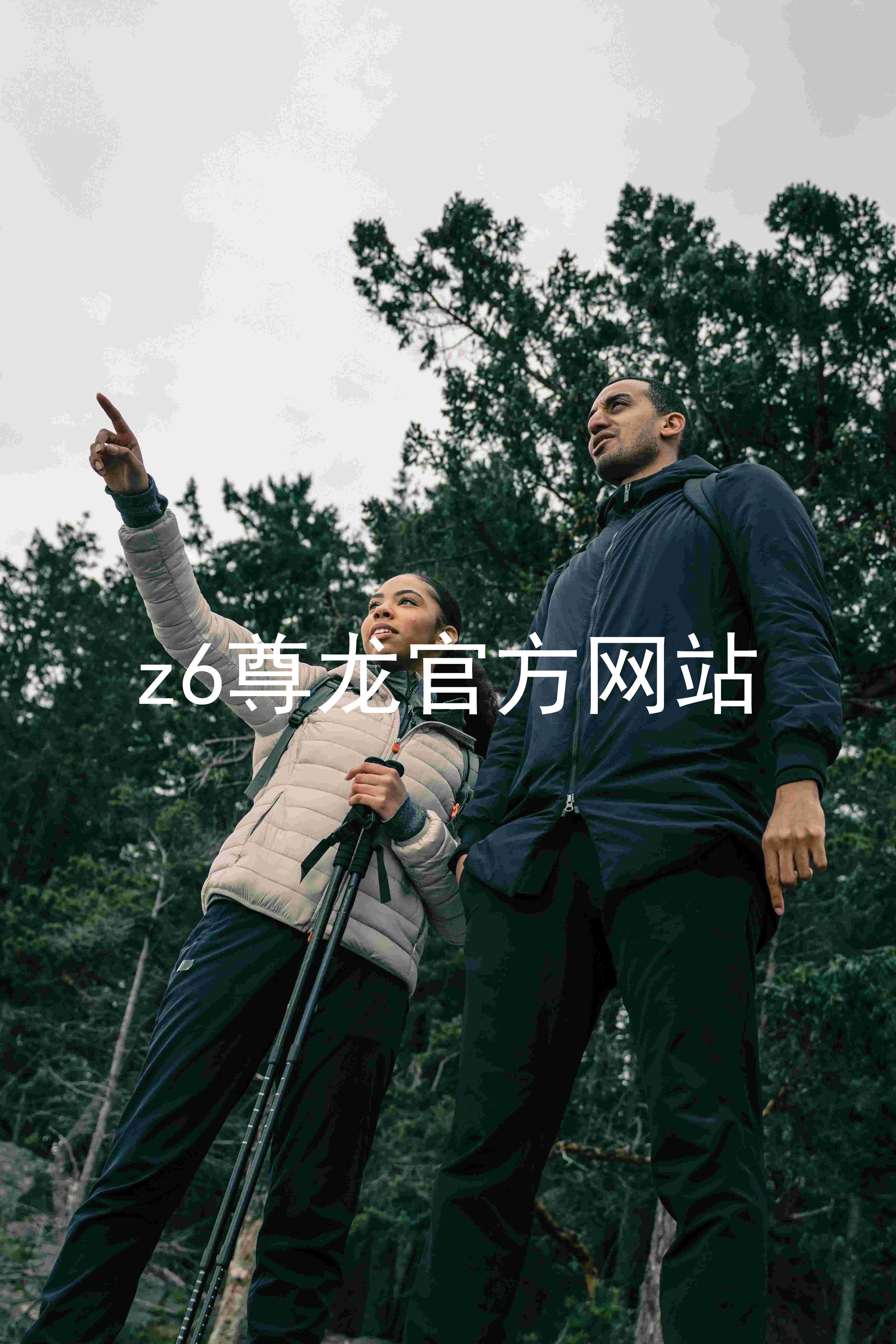 z6尊龙官方网站