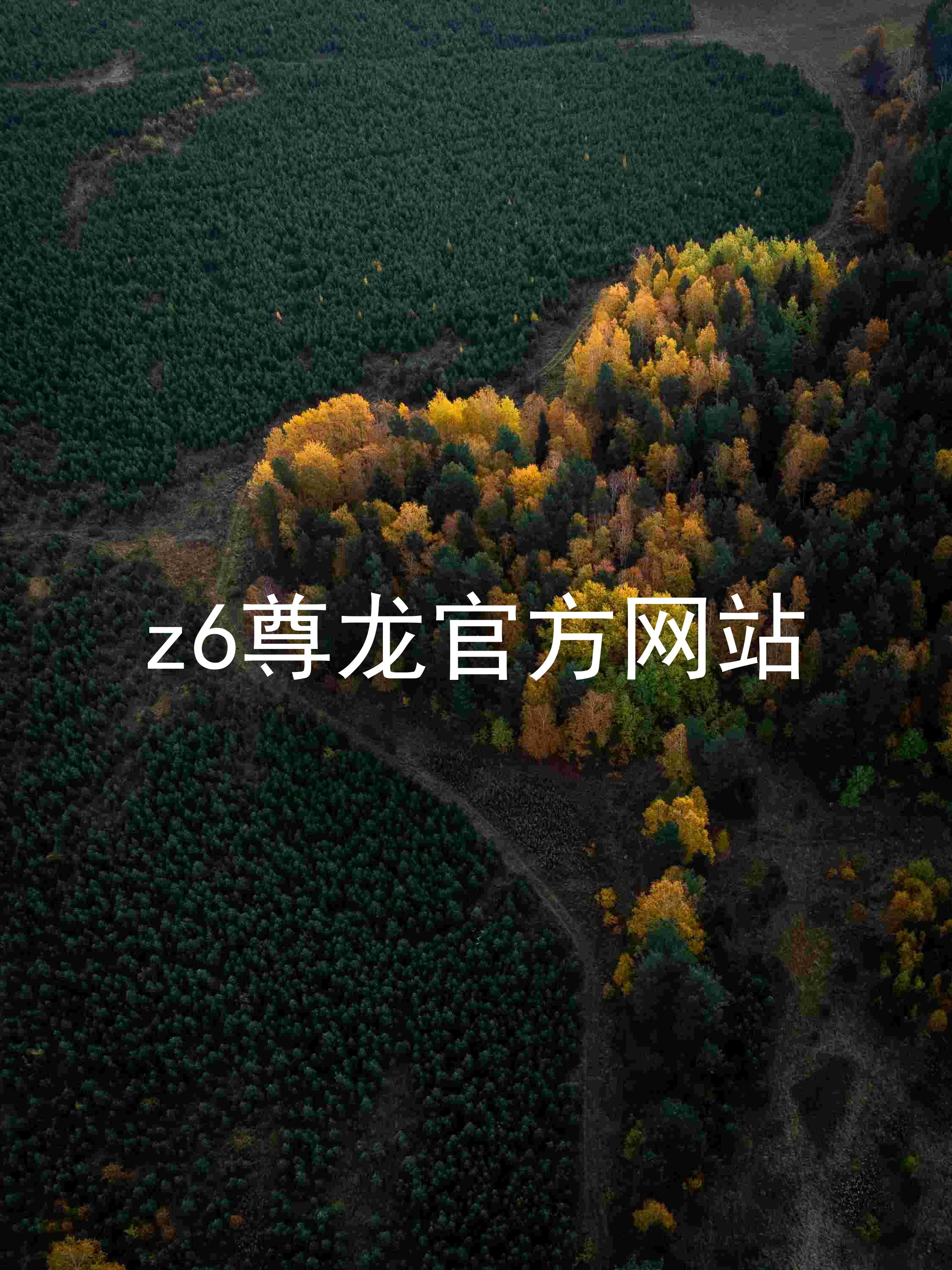 z6尊龙官方网站