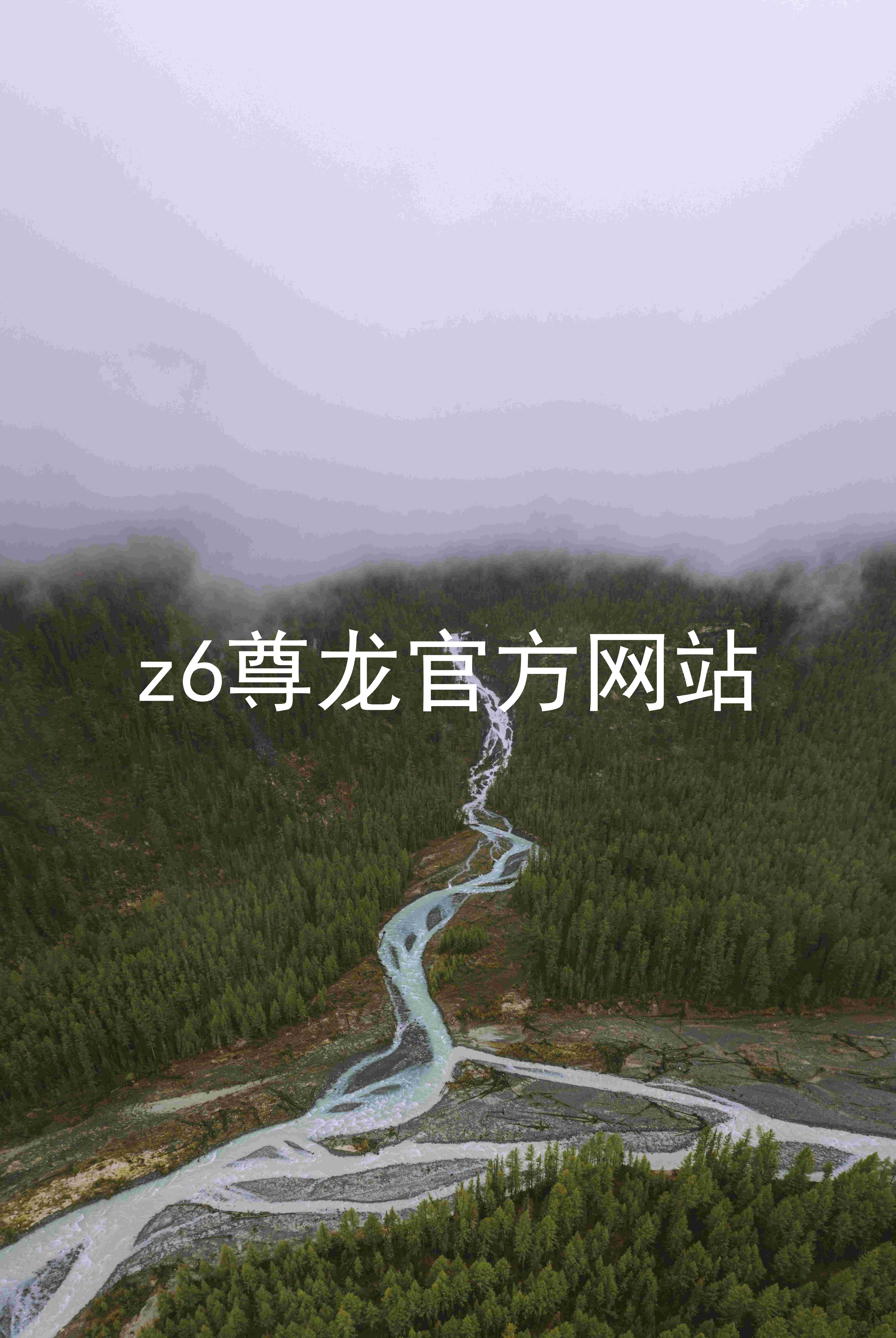 z6尊龙官方网站