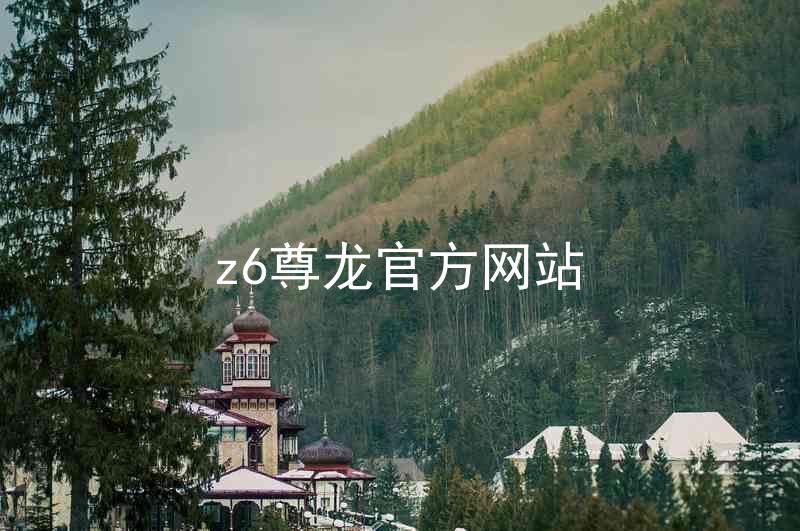 z6尊龙官方网站
